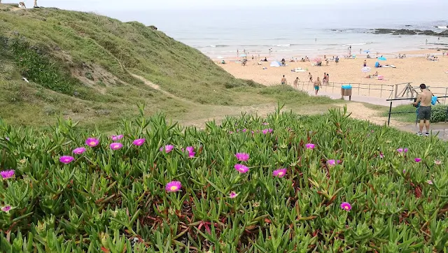 Spot surfingowy w Hiszpanii - plaża la tagle