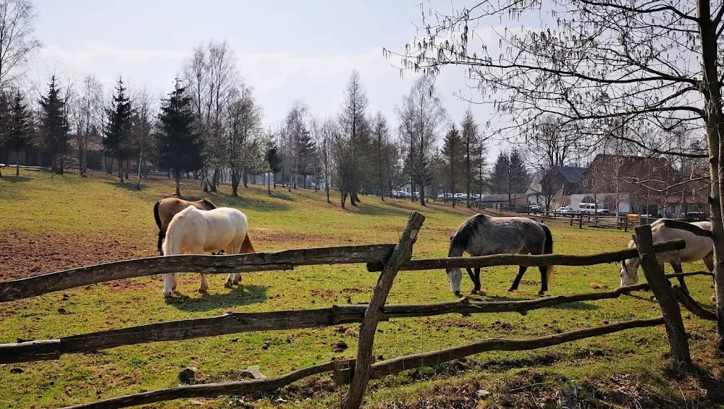 jazda konna w Agroturystyce Pustelnik