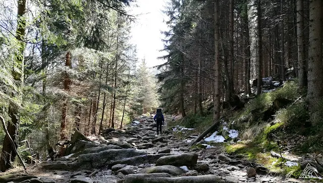 W drodze na Łabski Szczyt